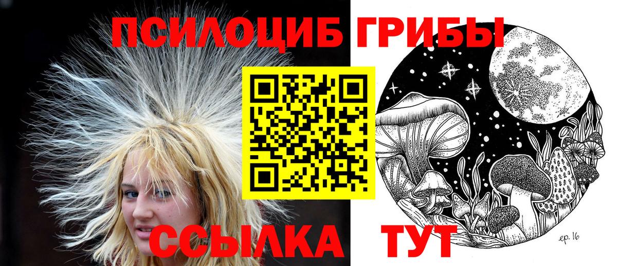 Псилоцибиновые грибы мухоморы  Псилоцибиновые грибы GOLDEN TEACHER  Шали  Вход с VPN 