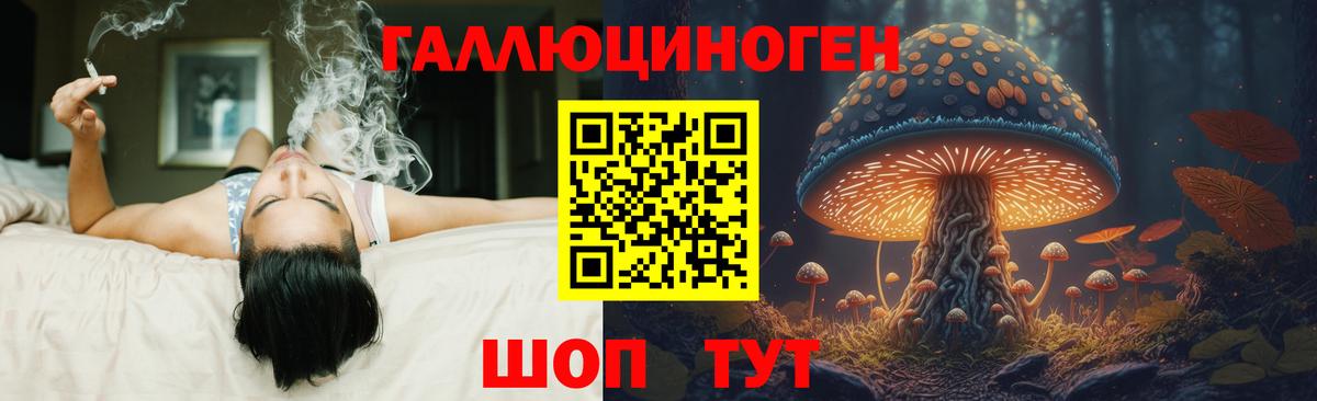 Псилоцибиновые грибы GOLDEN TEACHER Шали